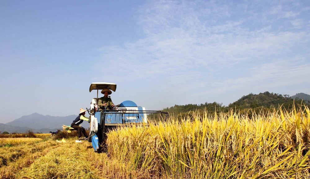  三权分置@未来10年，农村土地最终会落到谁手里？值得所有农村人