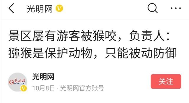 景区猴子撕扯游客背包翻零食，无底线纵容，还是该制止？