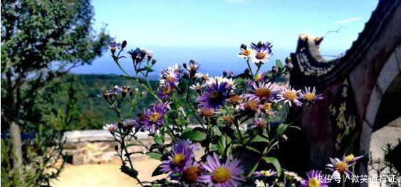 美景:初秋的泰山是这样的