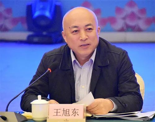 “新掌门”上任不足一月被提名，或成为故宫史上首位“院士”院长