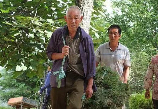 若农村60岁的老人,每人每月5百养老金,他们的生活能改善吗！