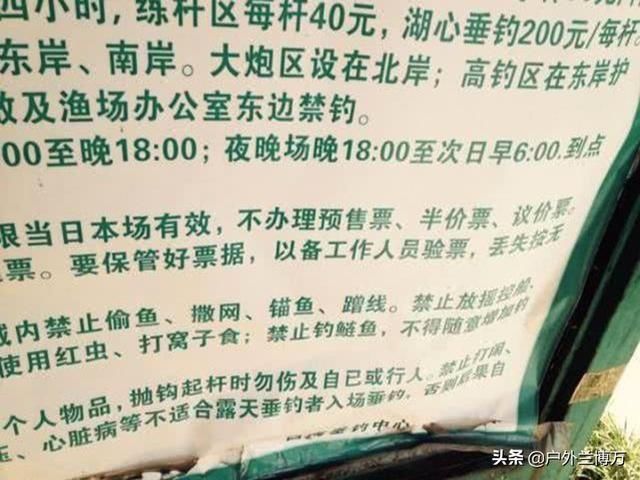  66＂鲢鳙并非稀有鱼种，为何一些水域不让钓？水库老板说出“真相”