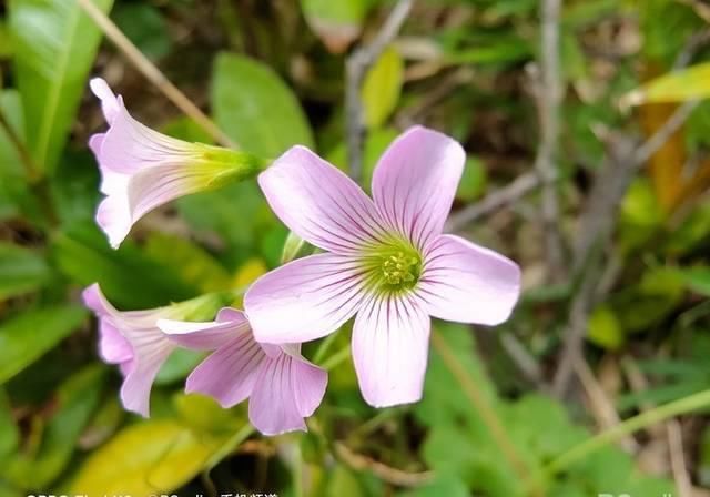  【顶级】OPPO Find X2评测:顶级屏幕,依旧是全能5G旗舰!