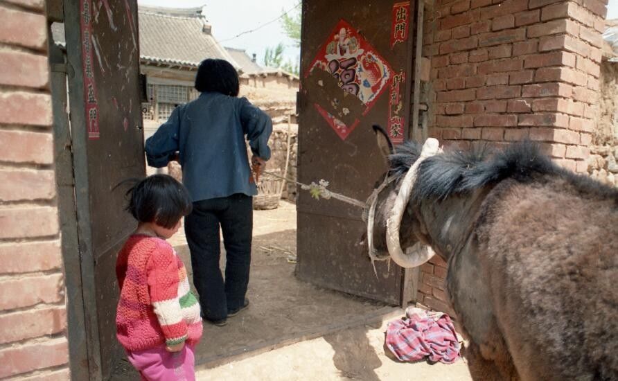 看八十年农民穷成啥样-年收入一两百元 家徒四壁 几乎半年吃不饱