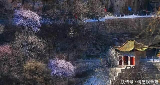 河南最古老的“中国传统村落”,当地人柴火烧饭,骑驴车出行