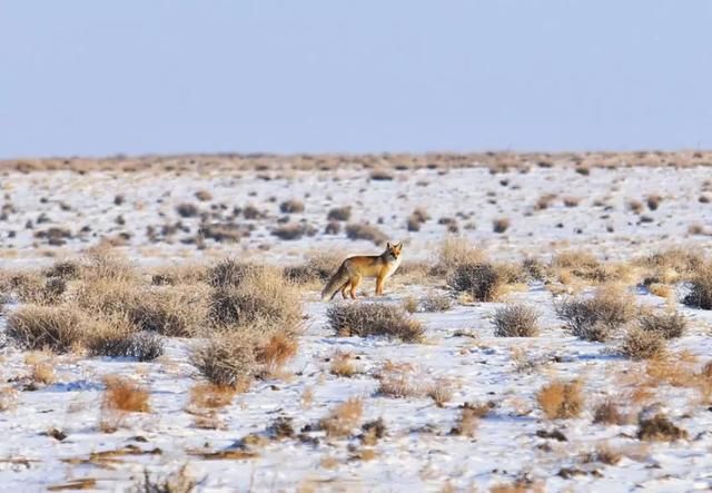 服气！接近零下20度，这台10多万的SUV还敢爬山撒野