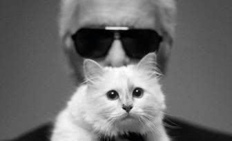  『Choupette』时尚教父“老佛爷”生前养的这只猫，有多幸运就有多难过