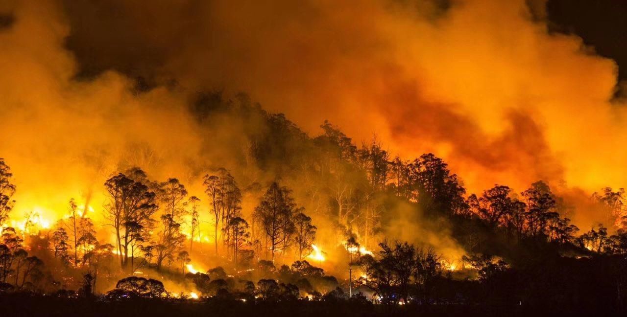 澳洲大火空气变暖