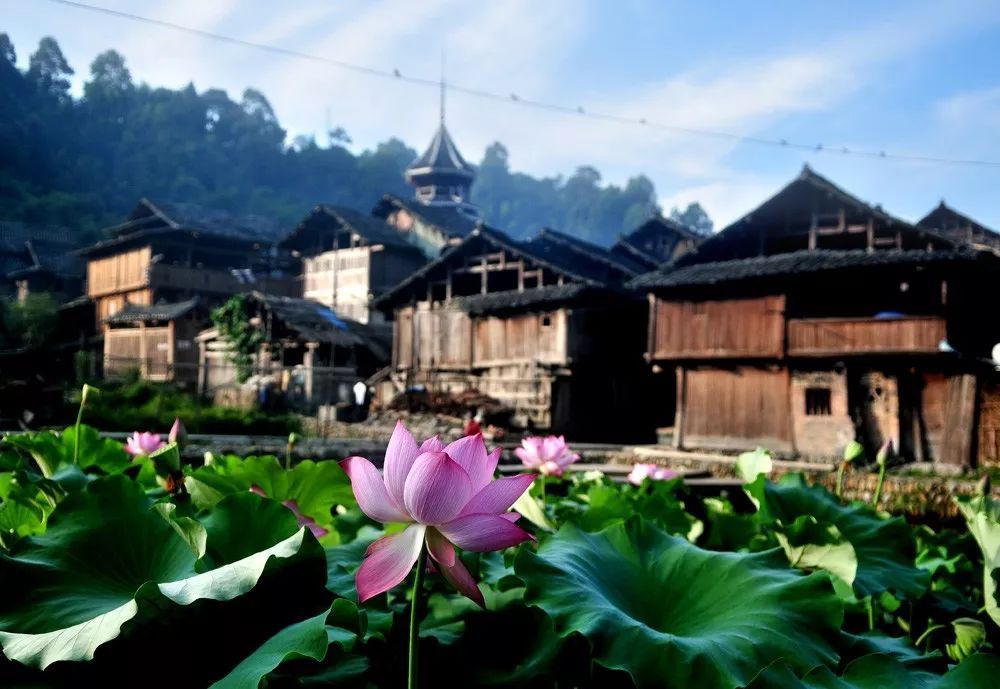 黄岗侗寨-黔东南遗世独立的“世外桃源”