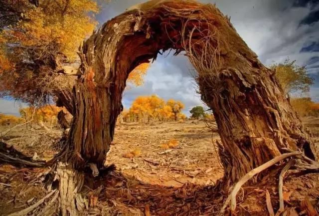 中华美景，太震撼了，向伟大的摄影师致敬！