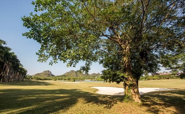 广西有个被人遗忘的画里天堂,就在南宁,峰林奇观让人流连忘返!