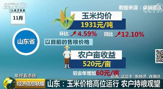 玉米价格高涨背后：东北粮源减少 企业深加工需求旺