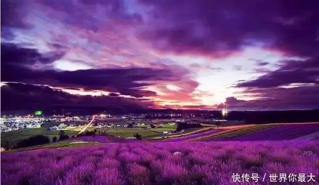 #丰收#新疆对你的诱惑不足以让你来撒趟野吗~