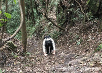 夹缝岩——这处藏匿于贵州大山深处的原始风景,竟然被我找到了