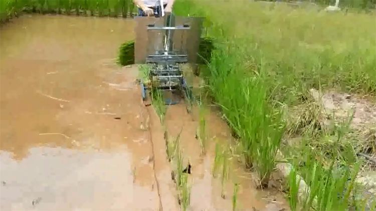  民间|民间牛人发明“手摇式”插秧机，不用油不用电，200元造一