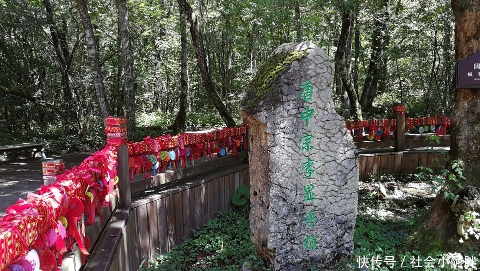 1300多年前皇帝种下的古树，被雷劈后枯木逢春，引来众人祭拜