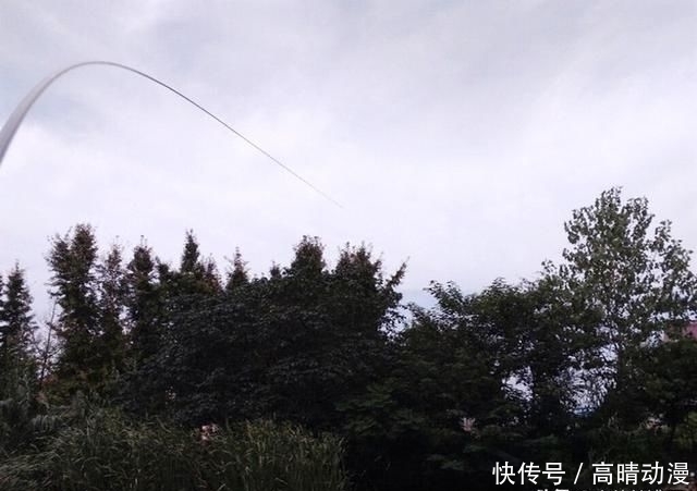  『水域』鲢鳙并非稀有鱼种，为何一些水域不让钓？水库老板说出“真相”