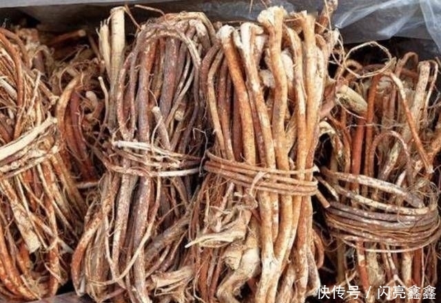  「植物」1种珍贵的“野草”，叶片像“手掌”，人称“五指毛桃”，奇特！