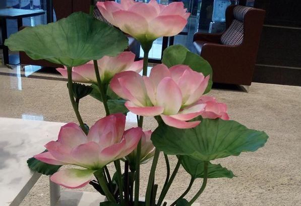 『越多越好』最不怕淋雨的三种花,淋的雨越多越好,能让枝叶疯长,花朵旺盛