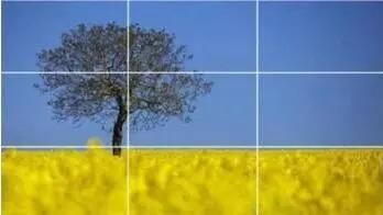 摄影爱好者看过来,小Mounsey决定带你去胡杨林拍片喽