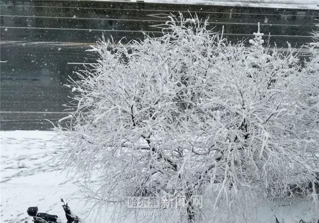 「交警部门」黑龙江这场大暴雪史上只现两次,专家分析来了!27日后可能…