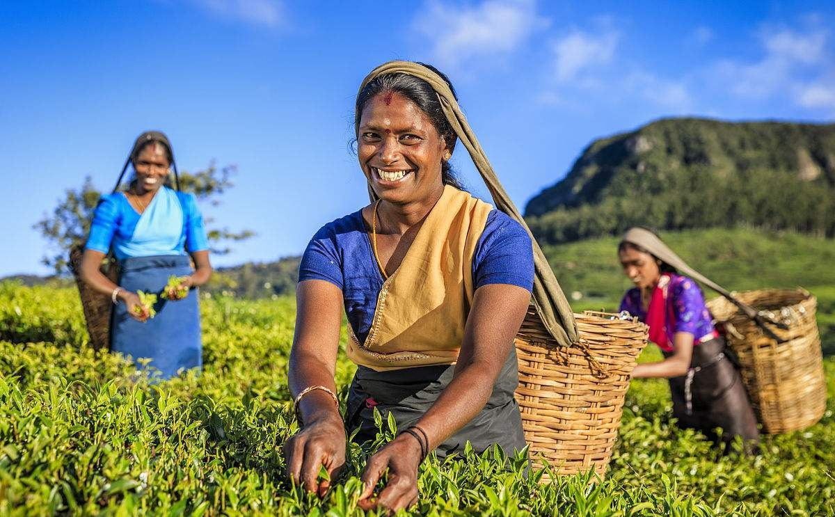 世界唯一隐藏首都:成为首都34年却毫无存在感,还沦为原首都郊区