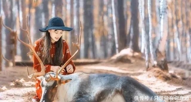 呼伦贝尔的秋天，美的太高级