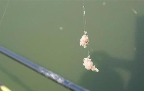  「产品」钓鱼人不要沦为“韭菜”，如何看待层出不穷的“钓鱼大师”？