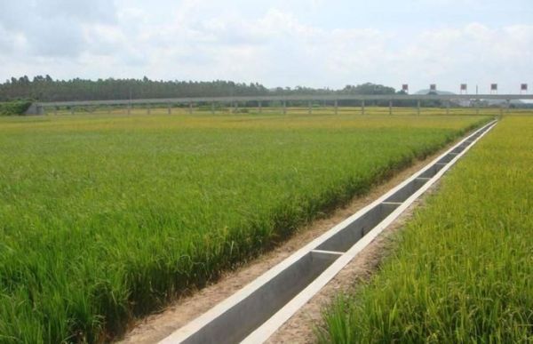 这些现象在农村越来越常见，农民无法习惯，希望能有解决方法！