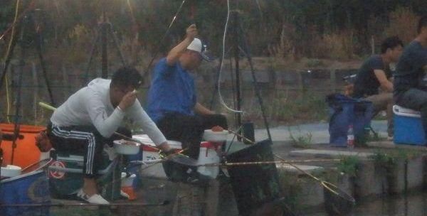 「鱼吃食」四月份夜钓黑坑没口，详解四月份夜钓黑坑的注意事项