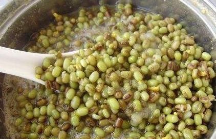  「绿豆放入」阳台养铜钱草，吃点“天然氮肥”，一分钱不花，变成“大荷叶”