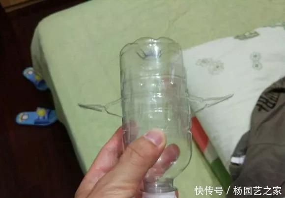  扦插：养花技巧：不到3分钟，塑料瓶做成扦插神器，7天长出大白根！