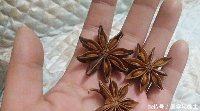  【分享】饵料配方分享专攻大鲫鱼大鲤鱼，初冬钓鱼必备
