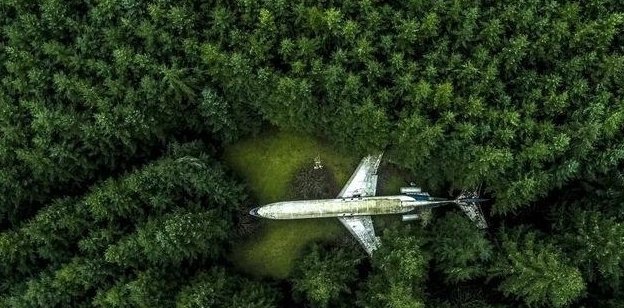 藏在森林深处的1架“飞机”,70岁老人在里面住了10年