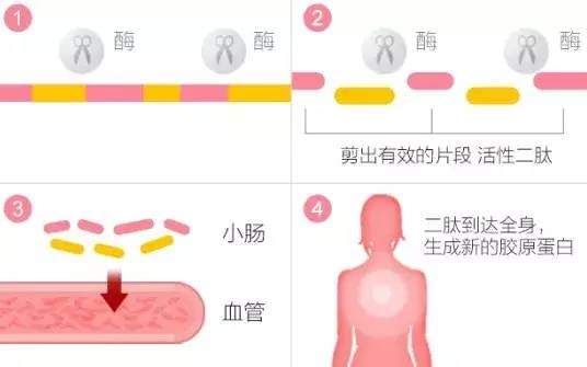 每天喝一点,皮肤就像吃了防腐剂,敷300张面膜可能都比不上...