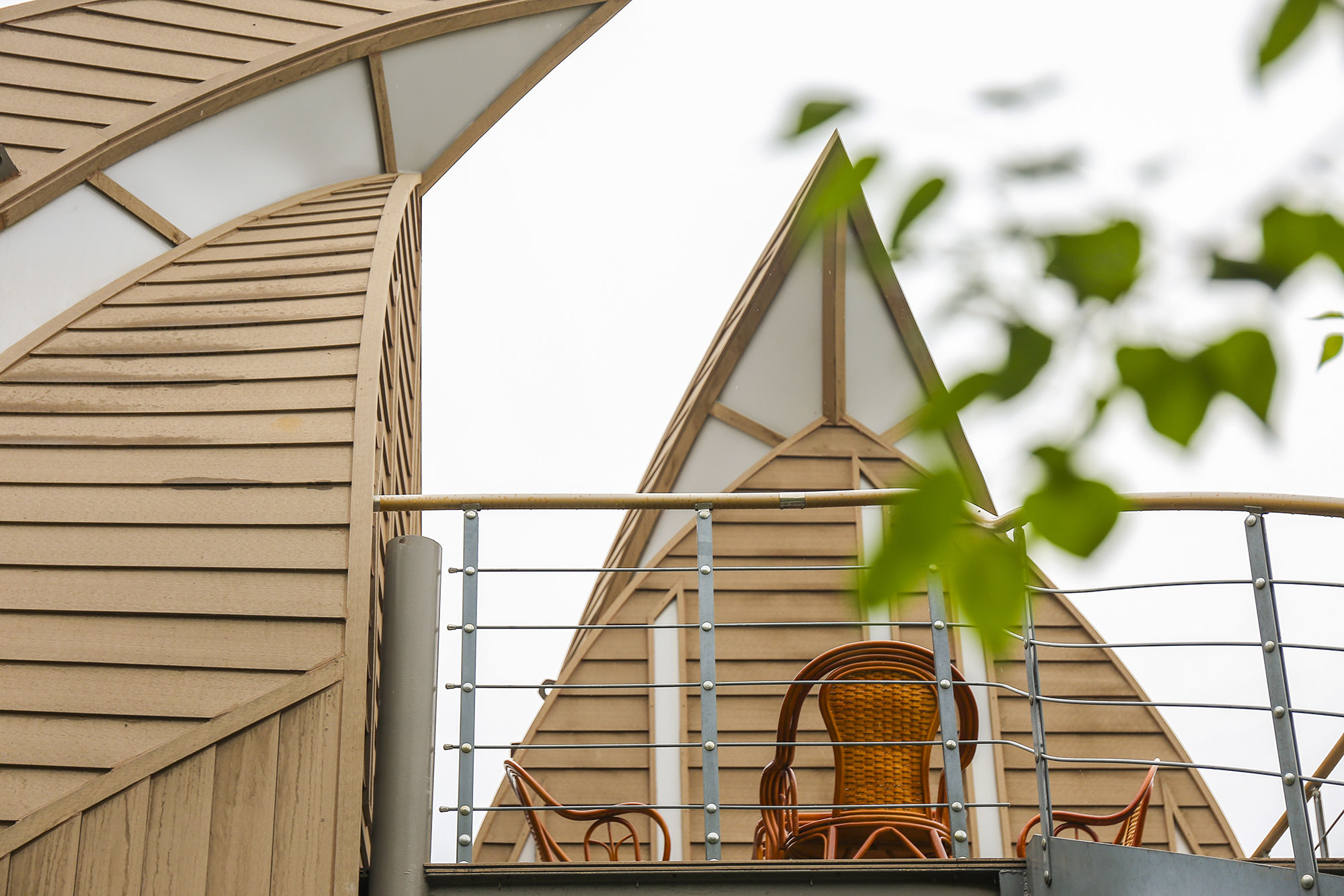 东营丨走过沧海桑田，终是在芦花飞雪的秋日遇见你