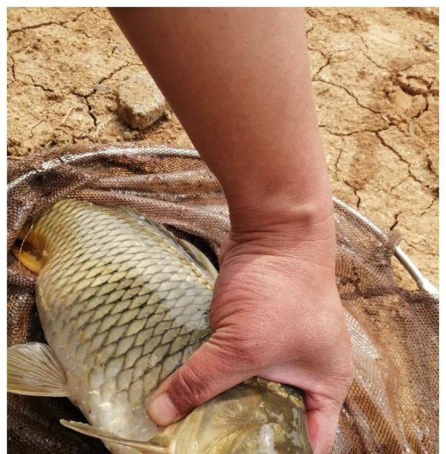  『钓友』钓友心中的钓鱼胜地，鲫鲤虽有口太稀