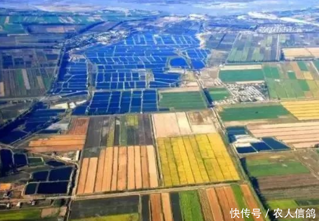  18周岁|国家下令表明：农村户口越来越珍贵，有4类人将可能无法