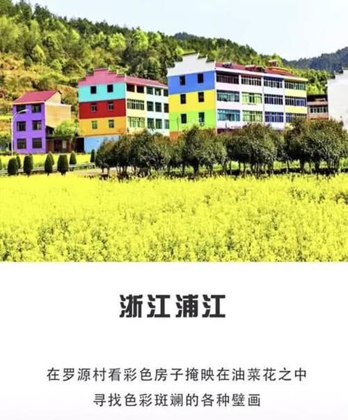 春天看油菜花好去处,错过了就要再等一年!