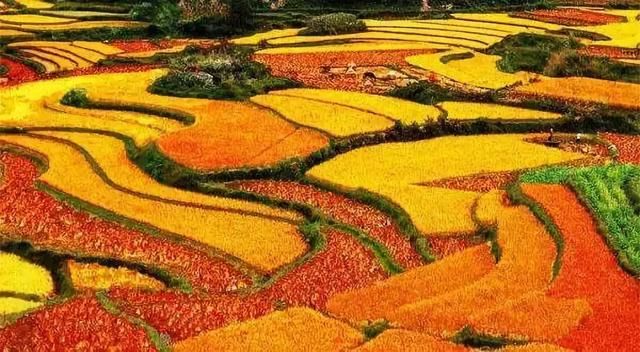 别再想着苍山洱海了，“醉”美的云南十景在这里！