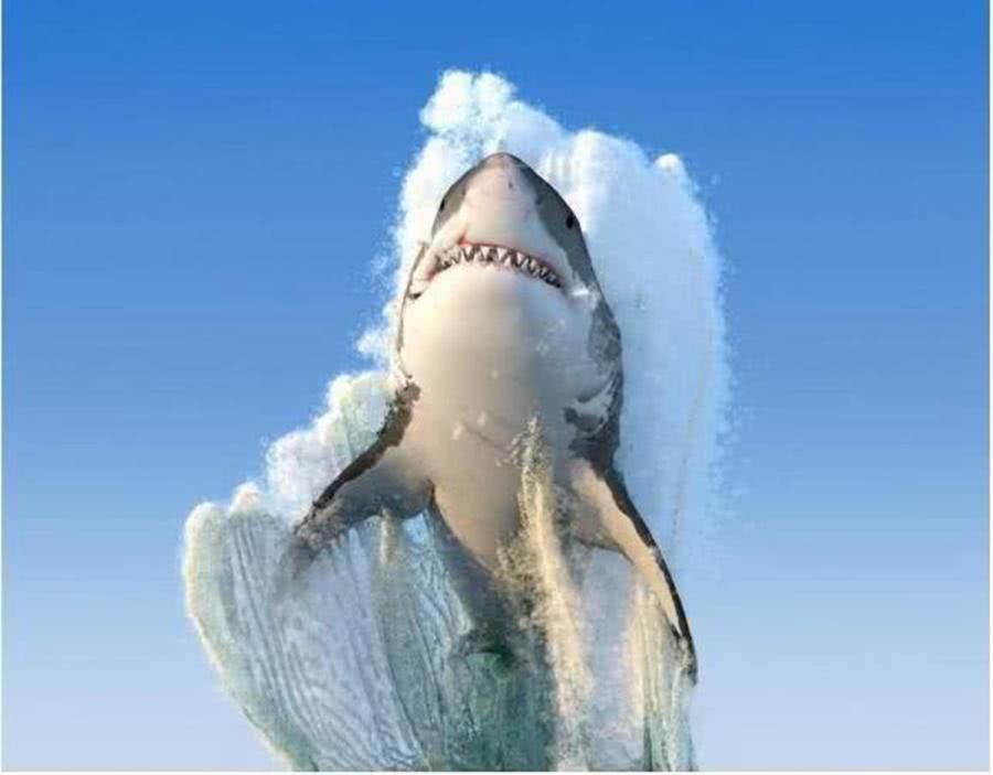 7张没有P过,但“难以置信”的照片,最后一张摄影师拍完选择自杀