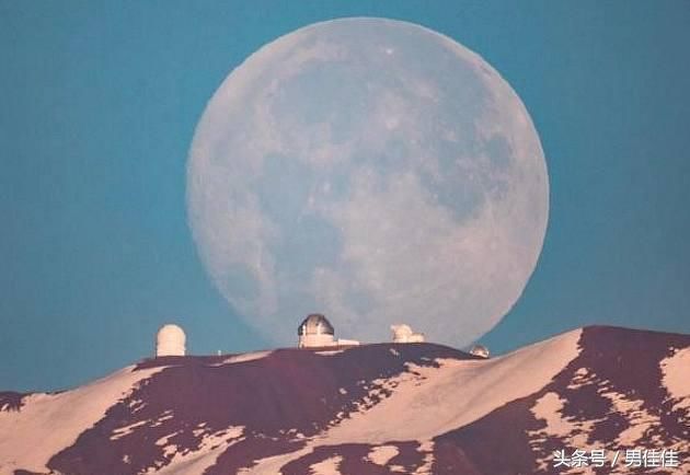 世界上最奇葩的8张照片，不要怀疑你的眼睛，真的没有PS !