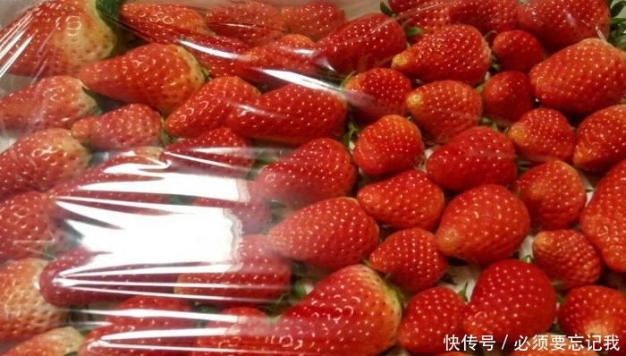 日本人在山东租了1500亩农地，却闲置5年之久，他们想干嘛？