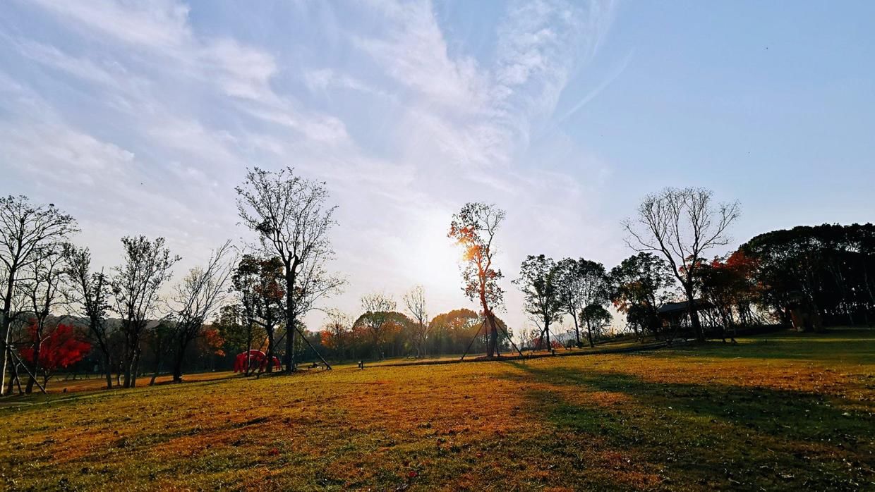 阿金短视频脚本段子剧本抖音快手台词范例搞笑