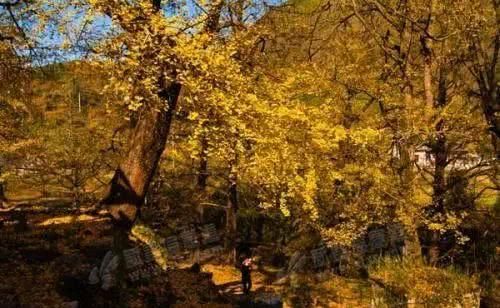 浙江不只有江南烟雨，这10个地方藏着浙江的绝美秋景