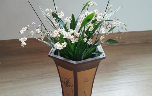  「数量繁多」此花就是“活香水”，家里养一盆，邻居都能闻花香，比茉莉强多了