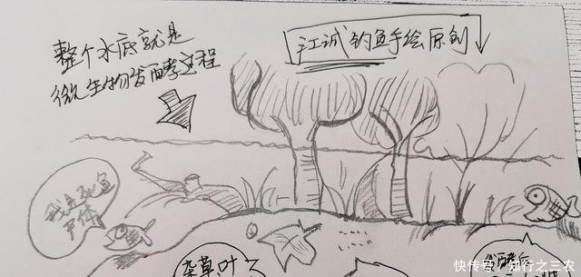  #对钓鱼#容易被忽视，却非常有效的钓鱼饵——酒糟，自制专攻大鱼的好窝料