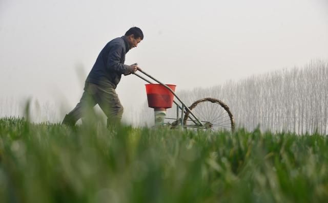 2019春分具体时间，“春分无雨是空年”啥意思？春分过后还冷吗？