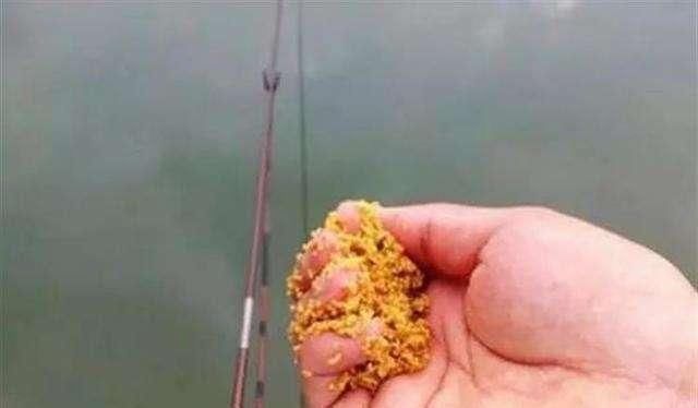  #投放窝料#为什么,给你机会都无法爆护!野外连竿的时候要注意这8点细节