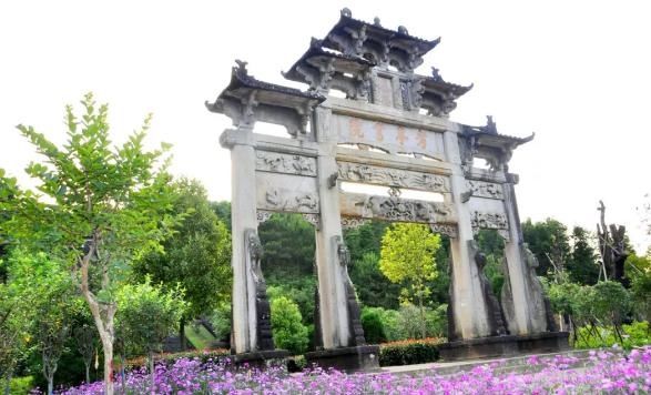  「唯一」中国唯一的“树抱佛”福建一棵古樟树，藏着一尊佛像